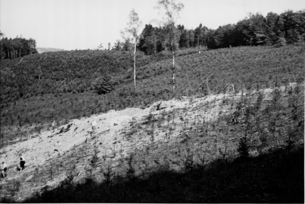 Flugzeugabsturz auf dem Bodenberg 1964