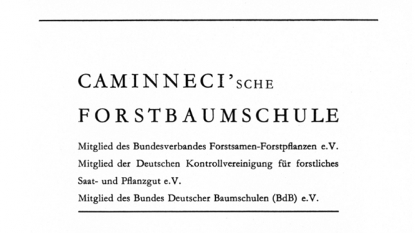 Werbeanzeige Forstbaumschule Caminneci 1974