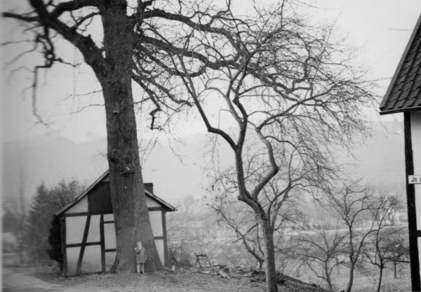 Ulrike vor der großen Eich Burg-Windeck-Straße