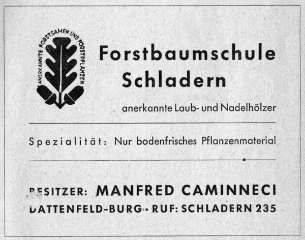 Werbeanzeige Forstbaumschule 1950
