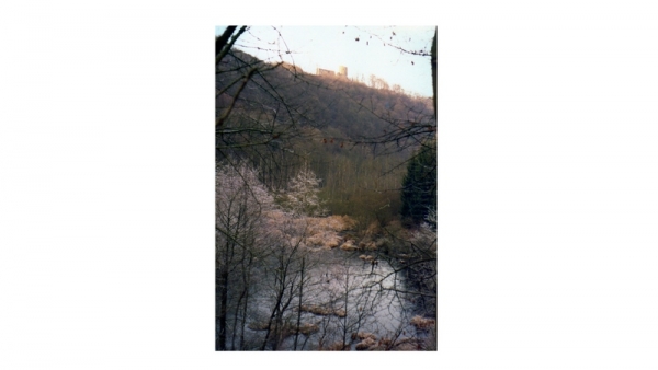 Ruine Burg Windeck und Krummauel im Winter 1976
